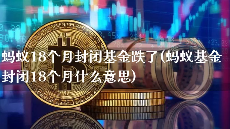 蚂蚁18个月封闭基金跌了(蚂蚁基金封闭18个月什么意思)_https://www.cangshenghg.com_财经新闻_第1张