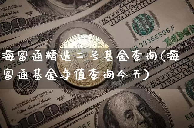 海富通精选二号基金查询(海富通基金净值查询今天)_https://www.cangshenghg.com_北交所_第1张