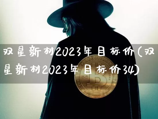 双星新材2023年目标价(双星新材2023年目标价34)_https://www.cangshenghg.com_A股_第1张