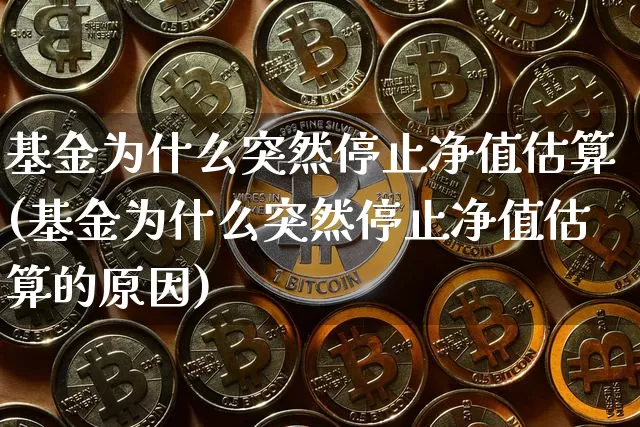基金为什么突然停止净值估算(基金为什么突然停止净值估算的原因)_https://www.cangshenghg.com_北交所_第1张