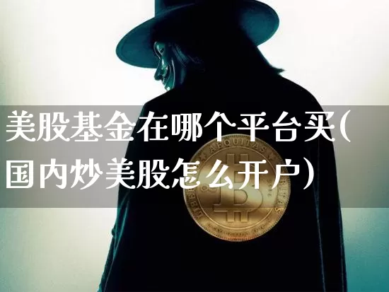 美股基金在哪个平台买(国内炒美股怎么开户)_https://www.cangshenghg.com_A股_第1张
