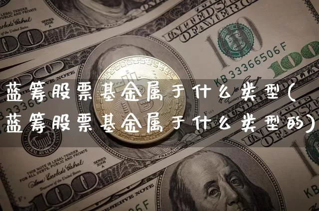 蓝筹股票基金属于什么类型(蓝筹股票基金属于什么类型的)_https://www.cangshenghg.com_北交所_第1张