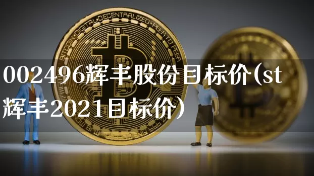 002496辉丰股份目标价(st辉丰2021目标价)_https://www.cangshenghg.com_科创板_第1张