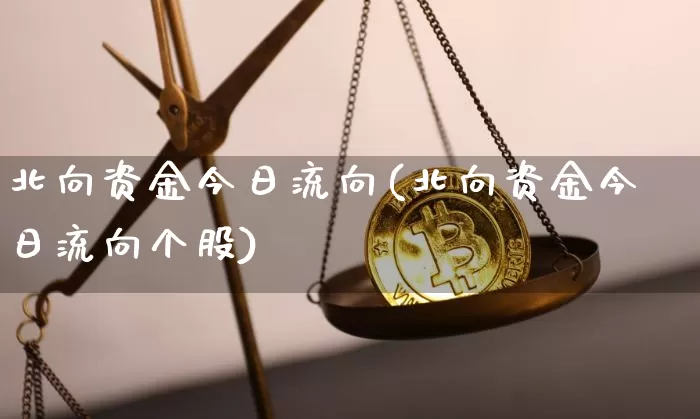 北向资金今日流向(北向资金今日流向个股)_https://www.cangshenghg.com_A股_第1张