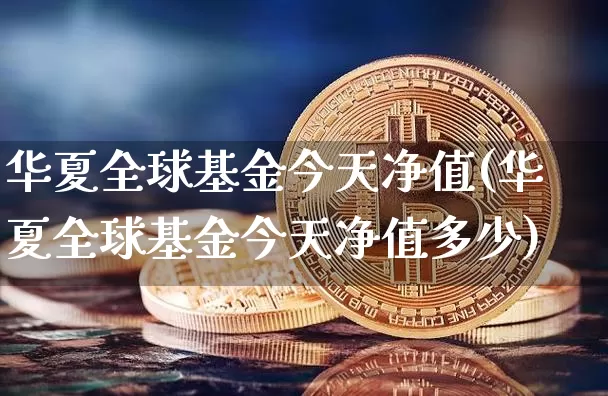 华夏全球基金今天净值(华夏全球基金今天净值多少)_https://www.cangshenghg.com_创业板_第1张