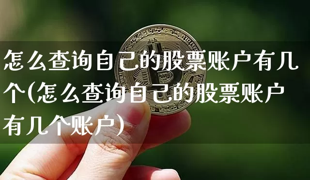 怎么查询自己的股票账户有几个(怎么查询自己的股票账户有几个账户)_https://www.cangshenghg.com_A股_第1张