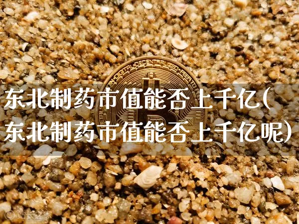 东北制药市值能否上千亿(东北制药市值能否上千亿呢)_https://www.cangshenghg.com_科创板_第1张