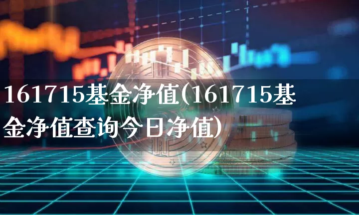 161715基金净值(161715基金净值查询今日净值)_https://www.cangshenghg.com_科创板_第1张