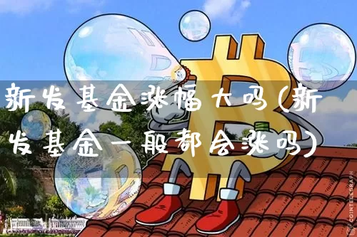 新发基金涨幅大吗(新发基金一般都会涨吗)_https://www.cangshenghg.com_北交所_第1张