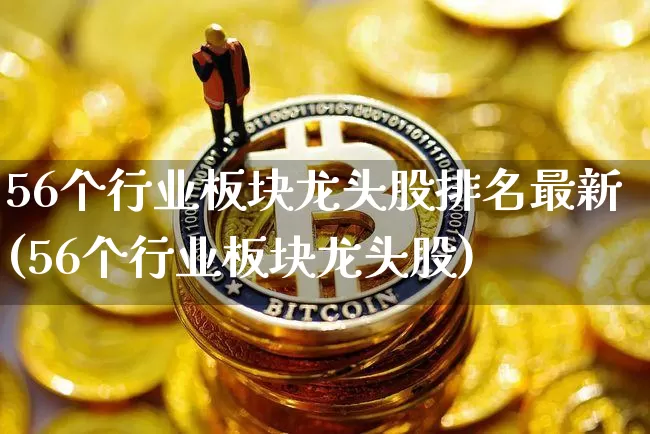 56个行业板块龙头股排名最新(56个行业板块龙头股)_https://www.cangshenghg.com_科创板_第1张