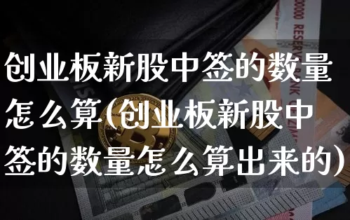 创业板新股中签的数量怎么算(创业板新股中签的数量怎么算出来的)_https://www.cangshenghg.com_财经新闻_第1张