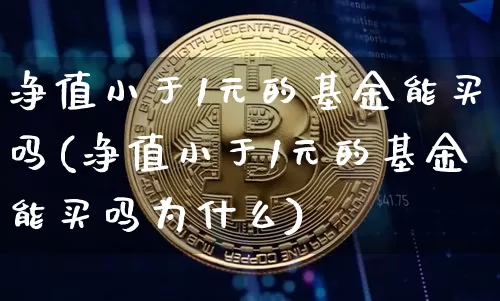 净值小于1元的基金能买吗(净值小于1元的基金能买吗为什么)_https://www.cangshenghg.com_北交所_第1张