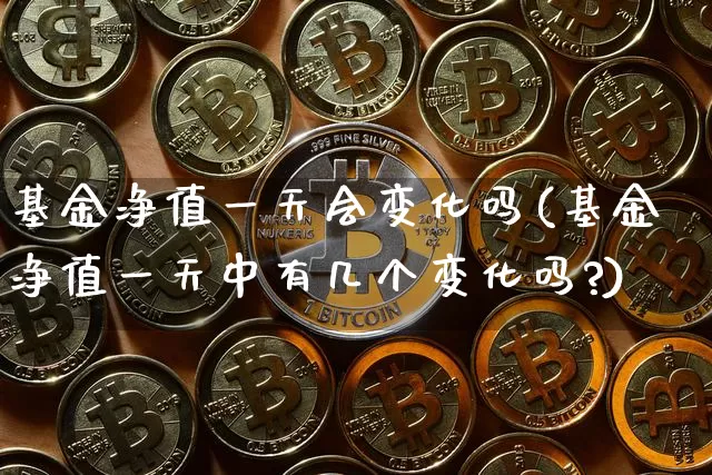 基金净值一天会变化吗(基金净值一天中有几个变化吗?)_https://www.cangshenghg.com_财经新闻_第1张