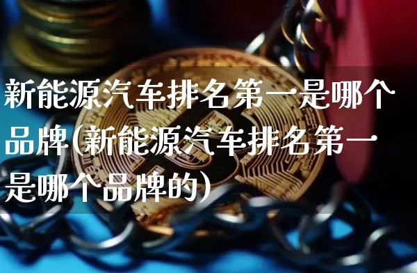 新能源汽车排名第一是哪个品牌(新能源汽车排名第一是哪个品牌的)_https://www.cangshenghg.com_财经新闻_第1张