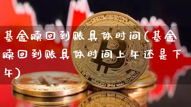 基金赎回到账具体时间(基金赎回到账具体时间上午还是下午)_https://www.cangshenghg.com_科创板_第1张