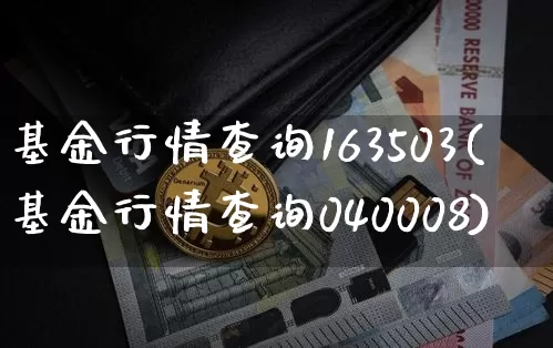 基金行情查询163503(基金行情查询040008)_https://www.cangshenghg.com_财经新闻_第1张