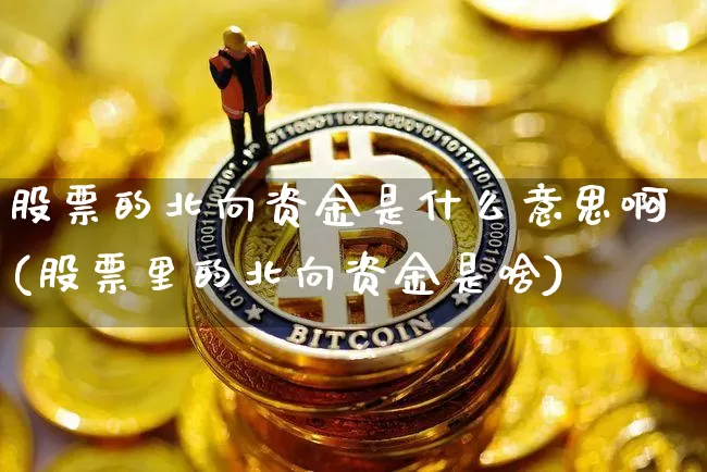 股票的北向资金是什么意思啊(股票里的北向资金是啥)_https://www.cangshenghg.com_创业板_第1张
