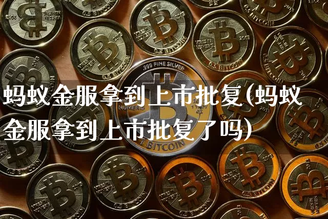蚂蚁金服拿到上市批复(蚂蚁金服拿到上市批复了吗)_https://www.cangshenghg.com_科创板_第1张