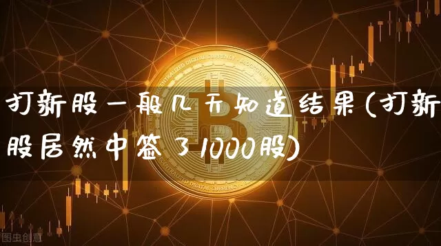 打新股一般几天知道结果(打新股居然中签了1000股)_https://www.cangshenghg.com_A股_第1张