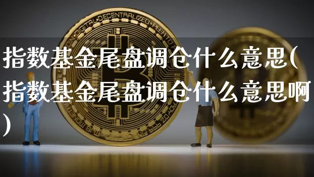 指数基金尾盘调仓什么意思(指数基金尾盘调仓什么意思啊)_https://www.cangshenghg.com_创业板_第1张