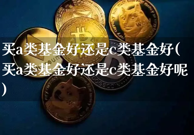 买a类基金好还是c类基金好(买a类基金好还是c类基金好呢)_https://www.cangshenghg.com_北交所_第1张