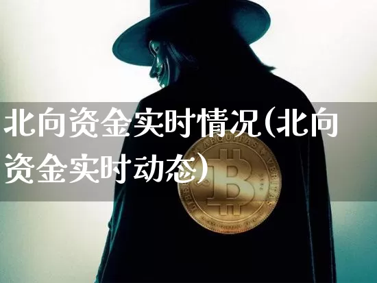 北向资金实时情况(北向资金实时动态)_https://www.cangshenghg.com_创业板_第1张