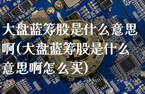 大盘蓝筹股是什么意思啊(大盘蓝筹股是什么意思啊怎么买)_https://www.cangshenghg.com_北交所_第1张