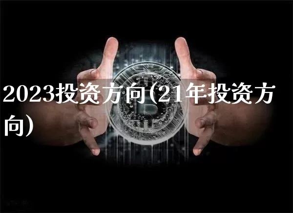 2023投资方向(21年投资方向)_https://www.cangshenghg.com_科创板_第1张
