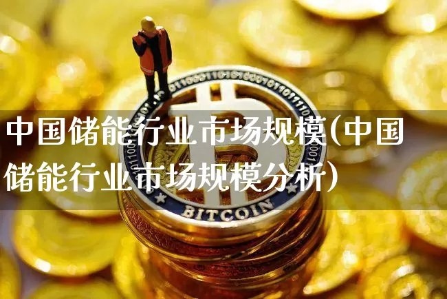 中国储能行业市场规模(中国储能行业市场规模分析)_https://www.cangshenghg.com_科创板_第1张