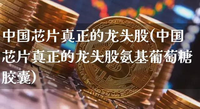 中国芯片真正的龙头股(中国芯片真正的龙头股氨基葡萄糖胶囊)_https://www.cangshenghg.com_财经新闻_第1张