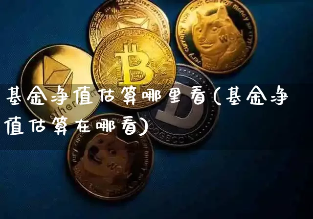 基金净值估算哪里看(基金净值估算在哪看)_https://www.cangshenghg.com_科创板_第1张