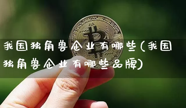 我国独角兽企业有哪些(我国独角兽企业有哪些品牌)_https://www.cangshenghg.com_北交所_第1张