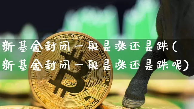 新基金封闭一般是涨还是跌(新基金封闭一般是涨还是跌呢)_https://www.cangshenghg.com_财经新闻_第1张