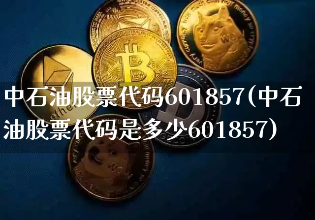 中石油股票代码601857(中石油股票代码是多少601857)_https://www.cangshenghg.com_财经新闻_第1张