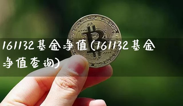 161132基金净值(161132基金净值查询)_https://www.cangshenghg.com_北交所_第1张