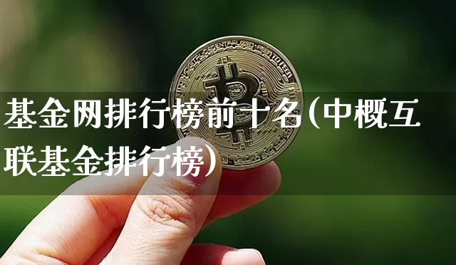 基金网排行榜前十名(中概互联基金排行榜)_https://www.cangshenghg.com_财经新闻_第1张