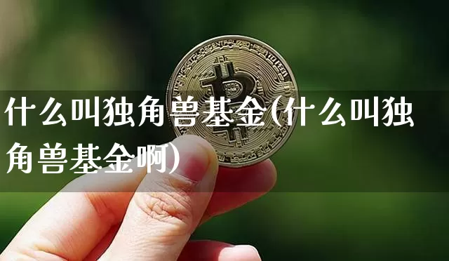什么叫独角兽基金(什么叫独角兽基金啊)_https://www.cangshenghg.com_创业板_第1张