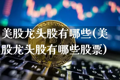 美股龙头股有哪些(美股龙头股有哪些股票)_https://www.cangshenghg.com_北交所_第1张