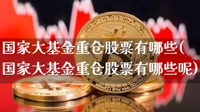 国家大基金重仓股票有哪些(国家大基金重仓股票有哪些呢)_https://www.cangshenghg.com_创业板_第1张