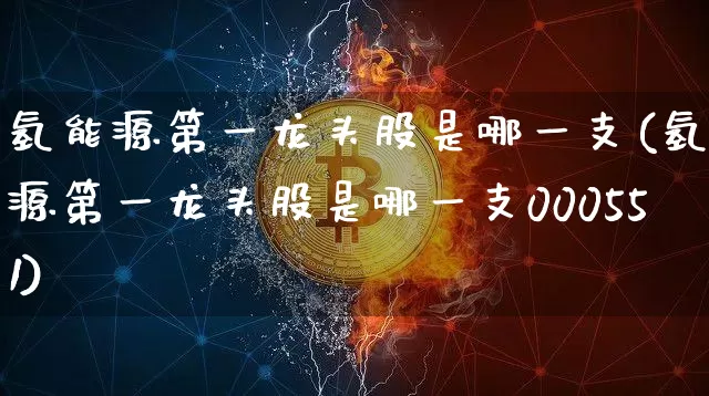 氢能源第一龙头股是哪一支(氢能源第一龙头股是哪一支000551)_https://www.cangshenghg.com_财经新闻_第1张