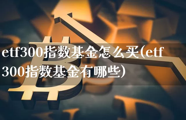 etf300指数基金怎么买(etf300指数基金有哪些)_https://www.cangshenghg.com_北交所_第1张