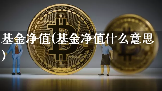 基金净值(基金净值什么意思)_https://www.cangshenghg.com_北交所_第1张
