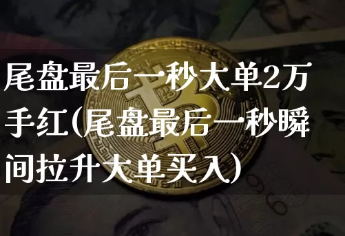 尾盘最后一秒大单2万手红(尾盘最后一秒瞬间拉升大单买入)_https://www.cangshenghg.com_北交所_第1张
