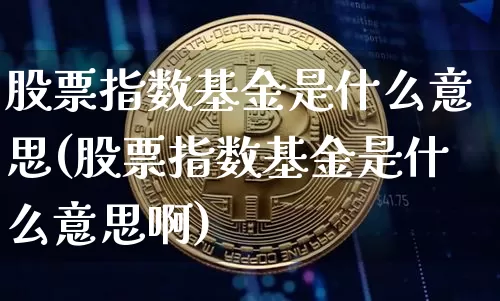 股票指数基金是什么意思(股票指数基金是什么意思啊)_https://www.cangshenghg.com_科创板_第1张