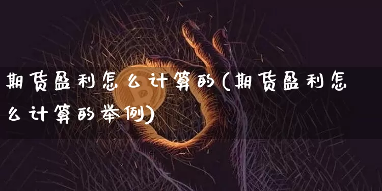 期货盈利怎么计算的(期货盈利怎么计算的举例)_https://www.cangshenghg.com_财经新闻_第1张