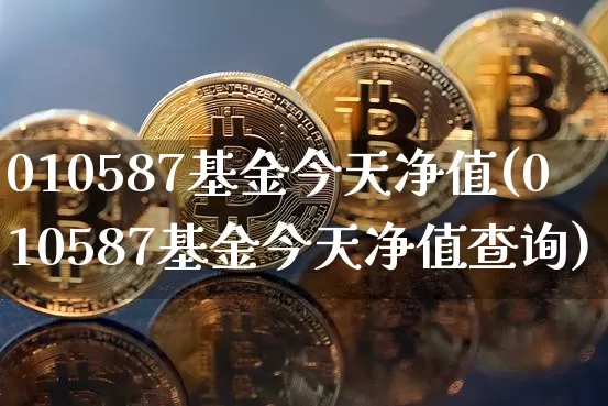 010587基金今天净值(010587基金今天净值查询)_https://www.cangshenghg.com_科创板_第1张