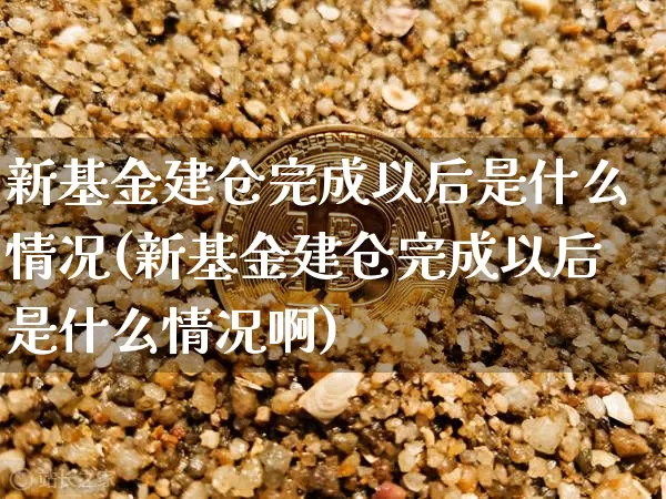 新基金建仓完成以后是什么情况(新基金建仓完成以后是什么情况啊)_https://www.cangshenghg.com_北交所_第1张