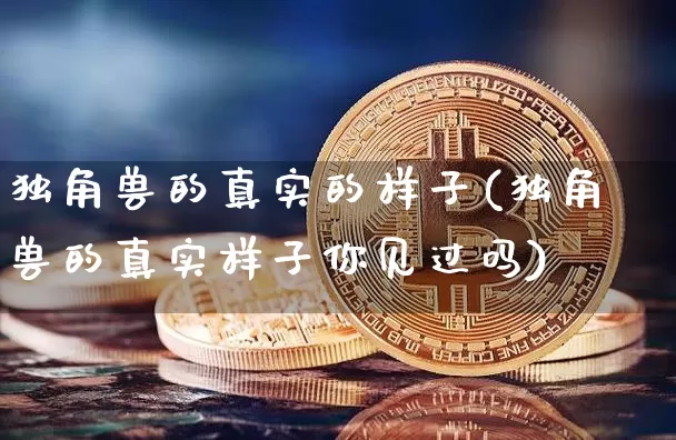 独角兽的真实的样子(独角兽的真实样子你见过吗)_https://www.cangshenghg.com_北交所_第1张