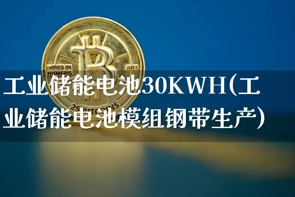 工业储能电池30KWH(工业储能电池模组钢带生产)_https://www.cangshenghg.com_财经新闻_第1张