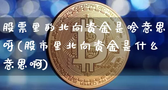 股票里的北向资金是啥意思呀(股市里北向资金是什么意思啊)_https://www.cangshenghg.com_科创板_第1张